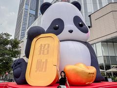 -东莞松山湖万象汇