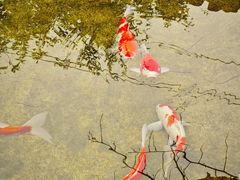 -驿舍·民國老营房院子私房菜(科学会堂店)