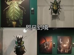 -中国湿地博物馆