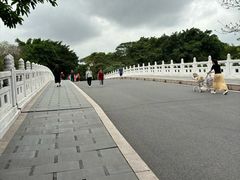 -海珠湖公园
