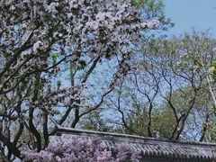 -陶然亭公园