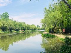 -新江湾城公园