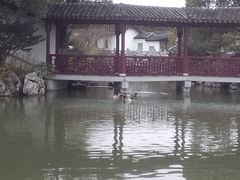 -八大山人梅湖景区