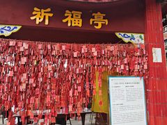 -龙泉洞(沙坪坝区)