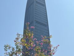 -荔枝公园(福田区)