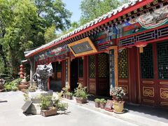 -白家大院·王府宫廷菜(苏州街店)