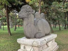 -北陵公园