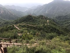 -大岭沟猕猴桃谷风景区