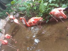 -长鹿旅游休博园
