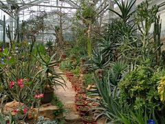 -国家植物园南园