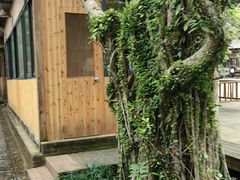 -海口火山口国家地质公园