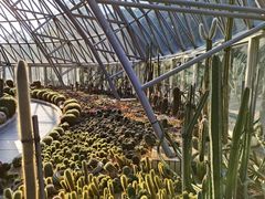 -深圳仙湖植物园