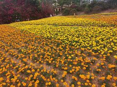 -龙凤山庄影视度假村