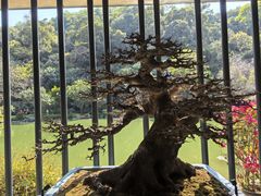 -云溪植物园