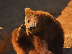 -济南野生动物世界