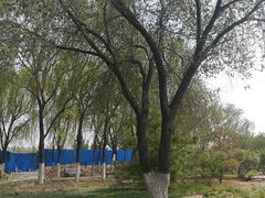 -永定河休闲森林公园