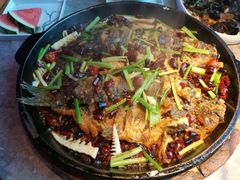 -老板恋上鱼(恒隆广场店)