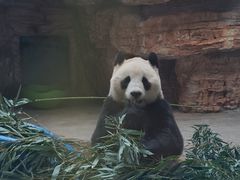 -石家庄市动物园