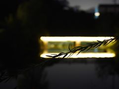 -厦门悦华酒店