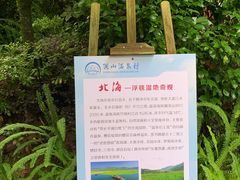 -腾冲洞山温泉村