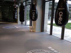 -花环泰拳·勒德斯拉泰拳馆(静安店)