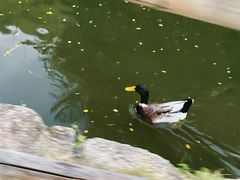 -青青世界