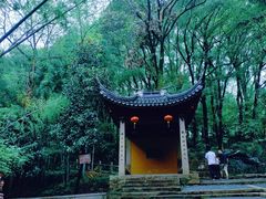 -灵岩山风景区