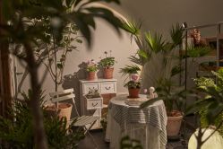 -芳香乐府疗愈空间·SPA·冥想