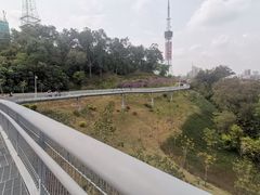-广州雕塑公园