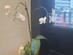-青莯_Percher Coffee Shop(皮市街店)