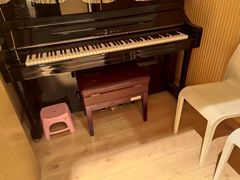 -柏斯音乐艺术中心·钢琴·吉他(世纪金源店)