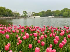 -上海鲜花港