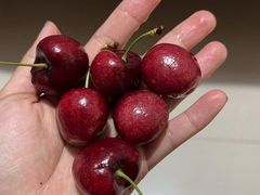 -盒马鲜生(曜一城店)