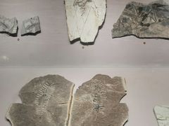 -长江文明馆