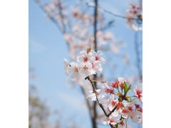 -独墅湖图书馆停车场