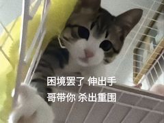 -上海浦东假日酒店