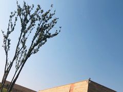 -盘龙城国家考古遗址公园