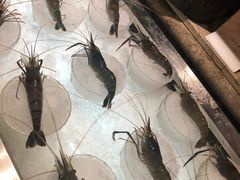 -雍和会海鲜姿造自助(湖东路店)