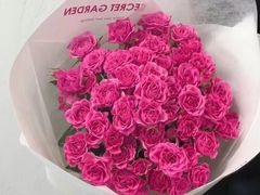 -芸山季·云南野生菌火锅(南翔印象城MEGA店)