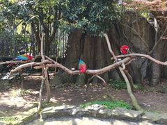 -宁波野生动物园