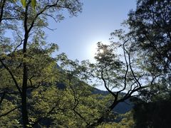 -泰山风景名胜区