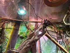 -正佳雨林生态植物园