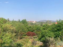 -昆明植物园