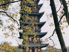 -上海方塔园