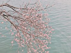 -颐和园