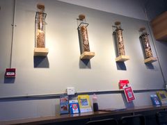 -龟金正·港式甜品(客村店)