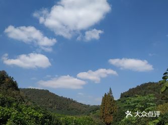 等到冬天的时候可以一起去看看梅花