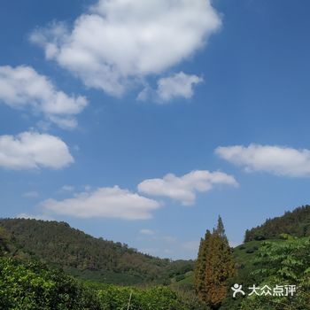 等到冬天的时候可以一起去看看梅花