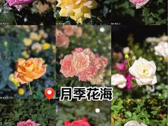 -人民公园(罗湖区)