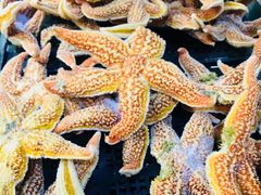 -恒达综合农贸市场(黄山路店)